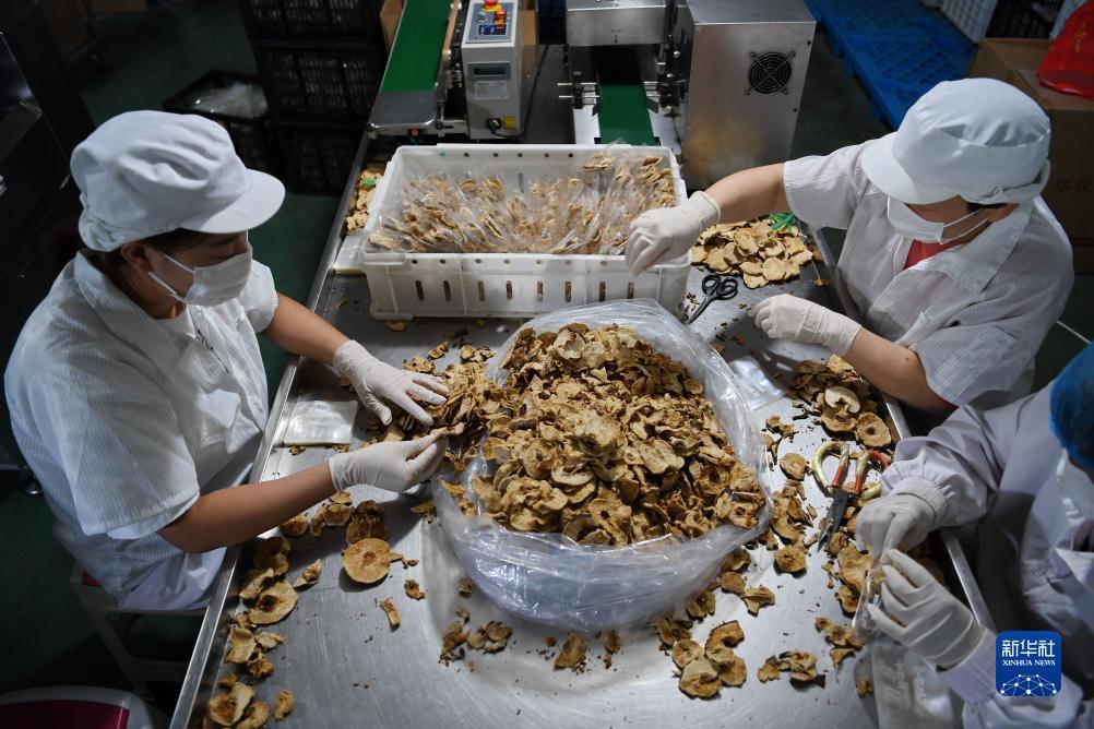 斗牛纸牌游戏